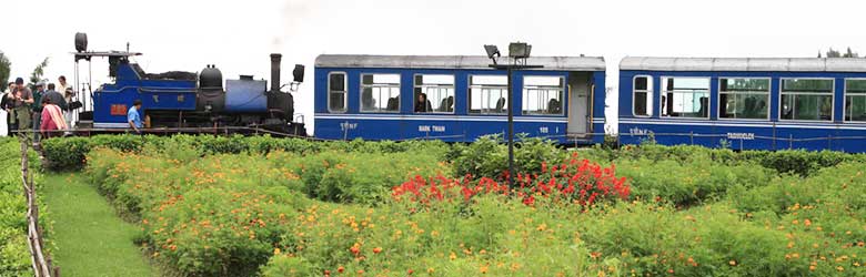 Darjeeling